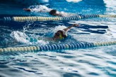 Змагання з плавання Справжніх "Алігаторів" 20 квітня 2019